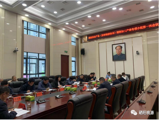 創(chuàng)新突破，產(chǎn)業(yè)突圍，桃源富硒再攻堅